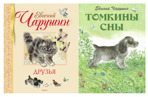 Книги Евгения Чарушина