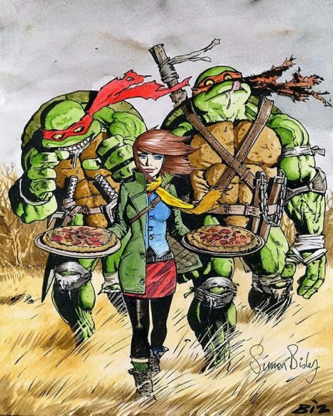 Саймон Бисли Turtles