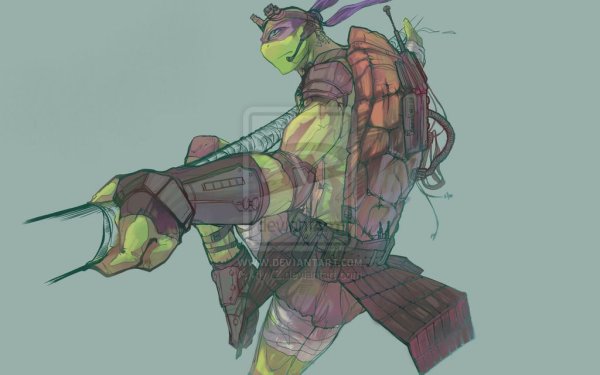 TMNT Donnie 2014