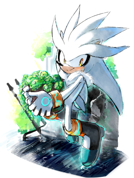 Sonic Сильвер арт