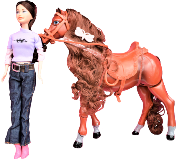 Набор "кукла с лошадью", брюнетка defa