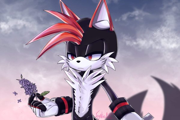 Sonic Amino Rus Соник еж