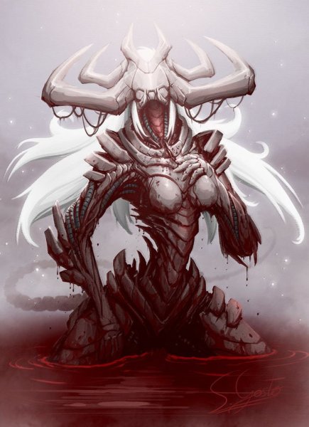 Kookrite (Sebastian Gosko)