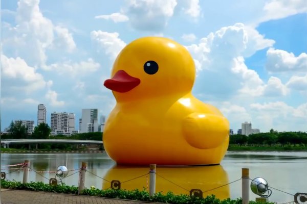 Большая утка