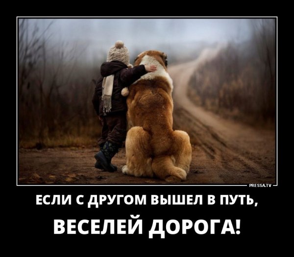 Демотиваторы про Сибирь
