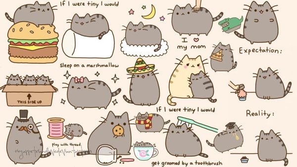 Наклейки котики Пушин