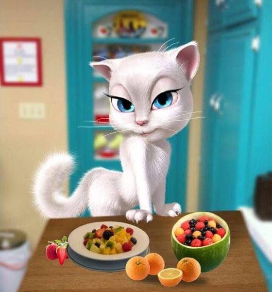 Анджела кошечка
