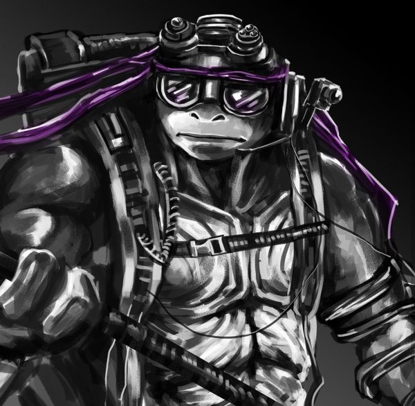 TMNT 2014 Донателло