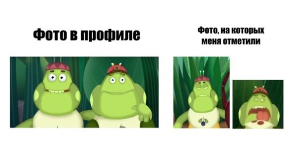 Вупсень и Пупсень бабочки