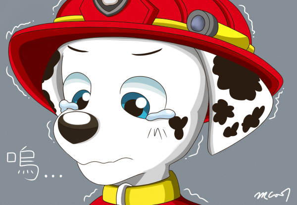 Рекс Paw Patrol