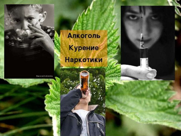 Алкоголь и наркотики