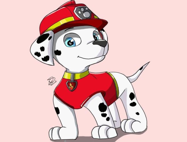 Paw Patrol Chase and Everest