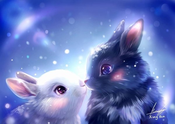 Космический заяц