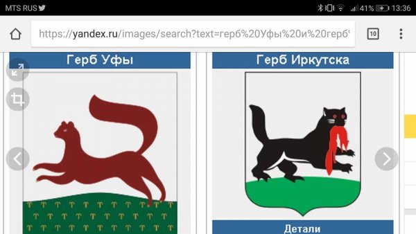 Бабр на флаге Иркутска