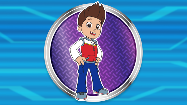 Paw Patrol: on a Roll! Игра