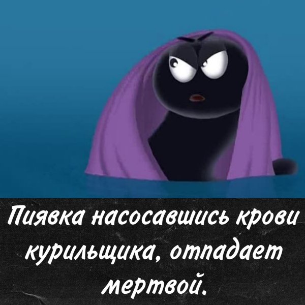 Пиявка из Лунтика