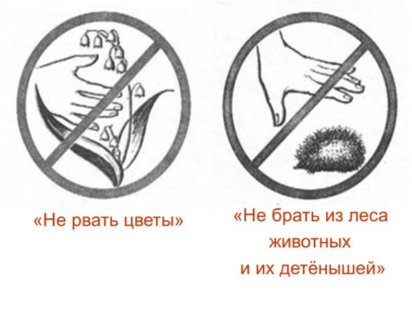 Экологический знак не рвать цветы