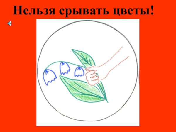Нельзя срывать растения
