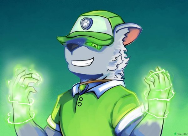 Shein07 Paw Patrol