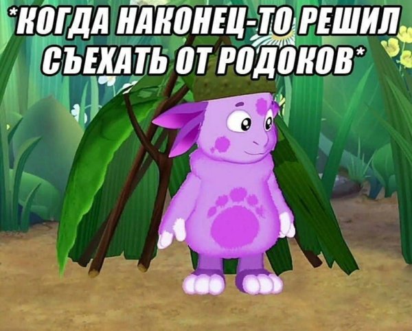 Мемы про Лунтика