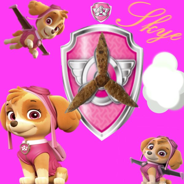 Paw Patrol Skye r34