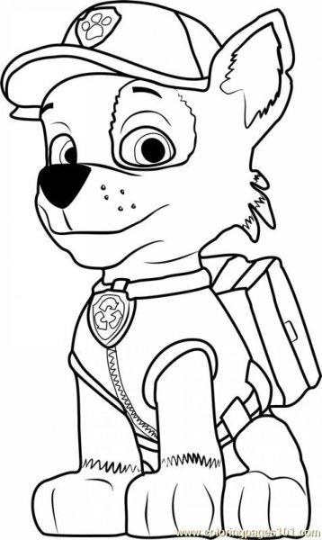 Paw Patrol Рокки
