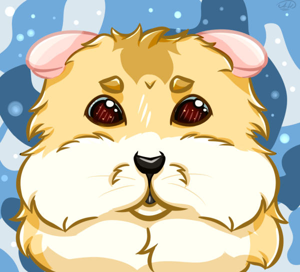 Angryhamster8819