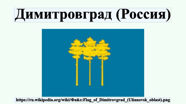 Флаг города Димитровграда