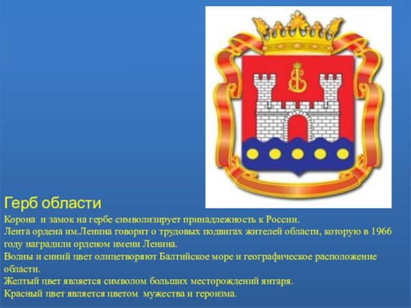 Правительство Калининградской области флаг