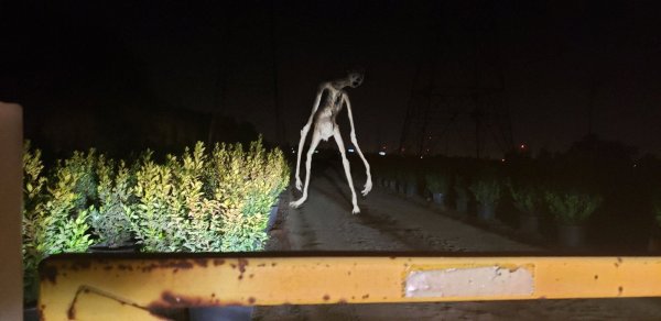 Long House Тревор Хендерсон