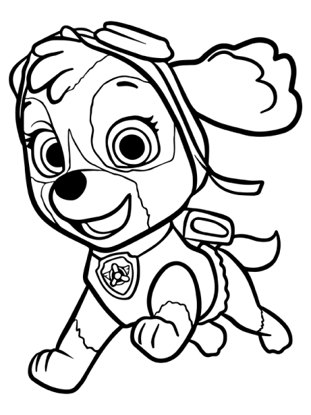 Paw Patrol раскраска Скай