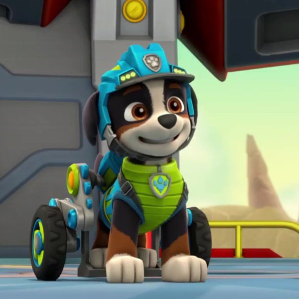 Рекс Paw Patrol