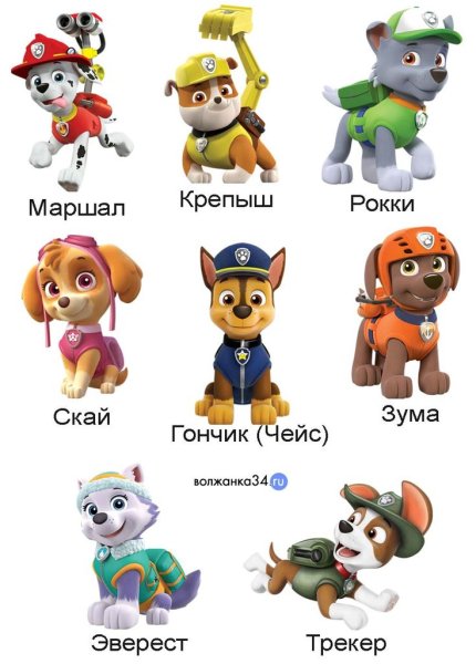 Как зовут героев Щенячьего патруля