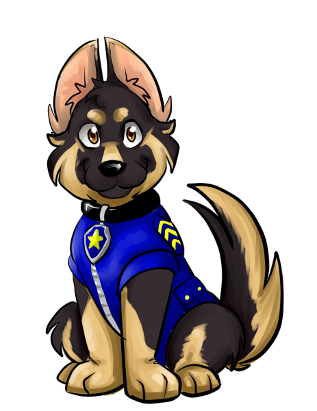 Paw Patrol гонщик и Скай