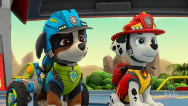 Рекс Paw Patrol