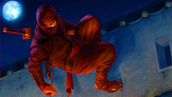 Shinobi Ninja