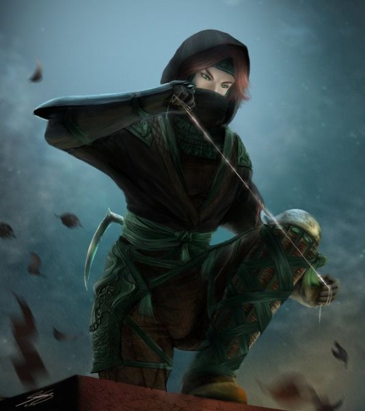 Pathfinder ниндзя