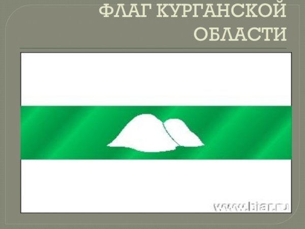 Герб и флаг Курганской области