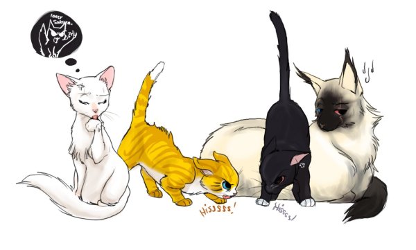 Коты Воители Наруто