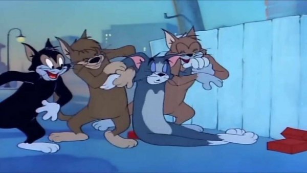 Том и Джерри друзья Тома