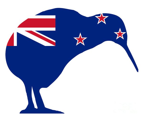 Флаг новой Зеландии с киви