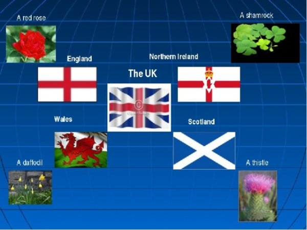 Символы Англии Шотландии Уэльса и Ирландии