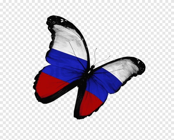 Бабочка Триколор