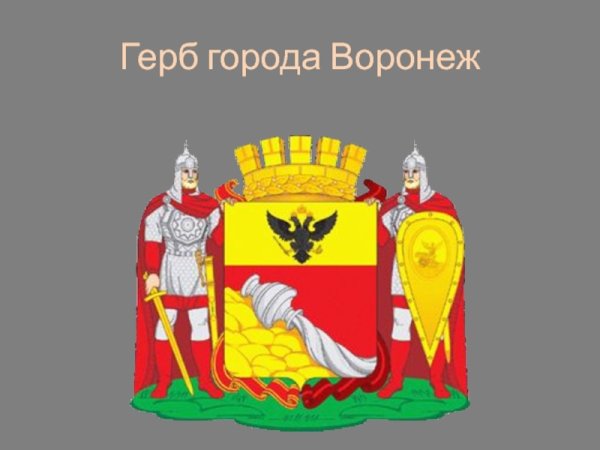 Герб города Воронеж 1730