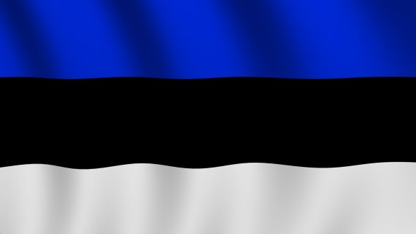 Флаг Эстонии 1917