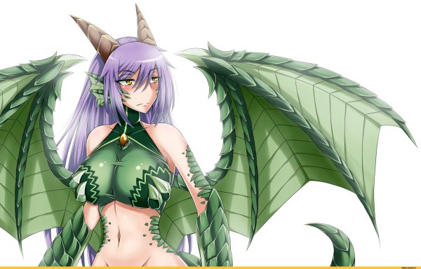 Monster girl Encyclopedia драконы
