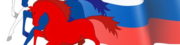 Флаг России кони