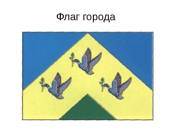 Флаг города Новочебоксарск