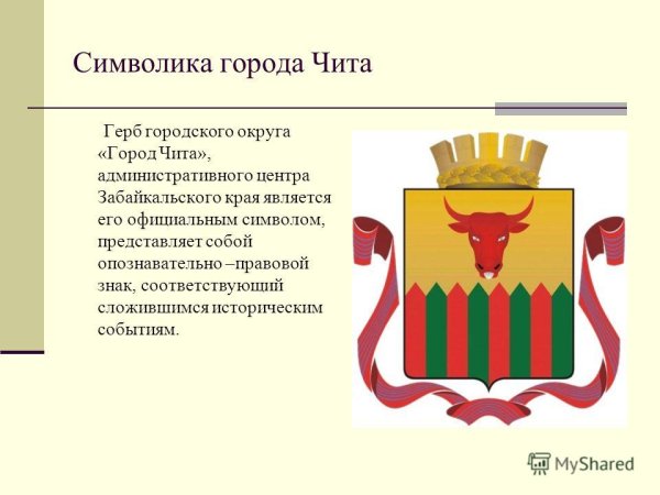 Флаг города Чита Забайкальского края
