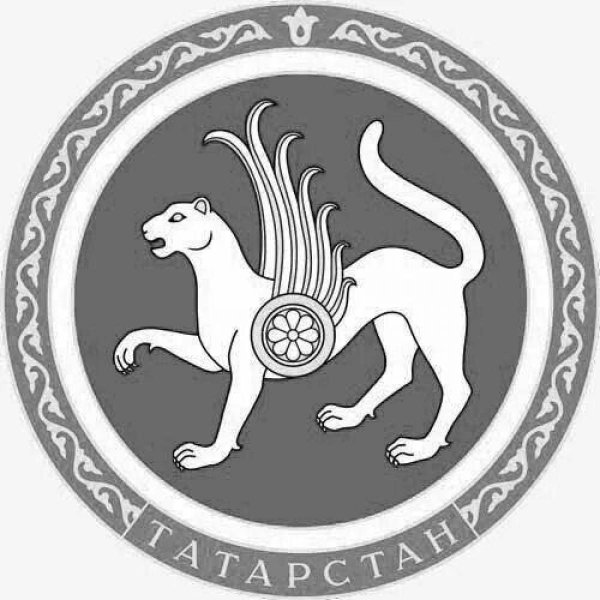 АК Барс герб Татарстана